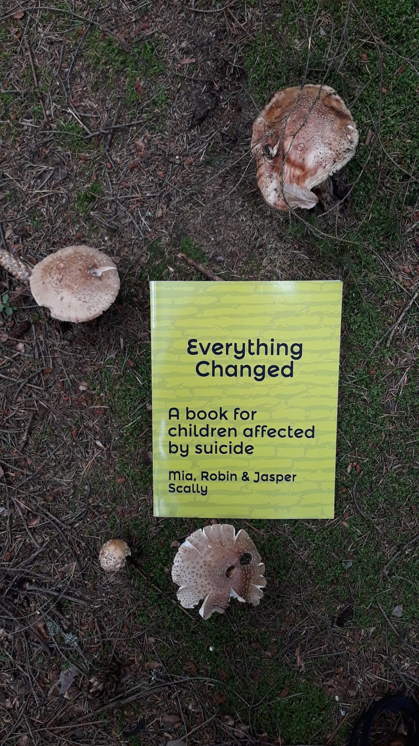 Everything Changed: a book for children affected by suicide