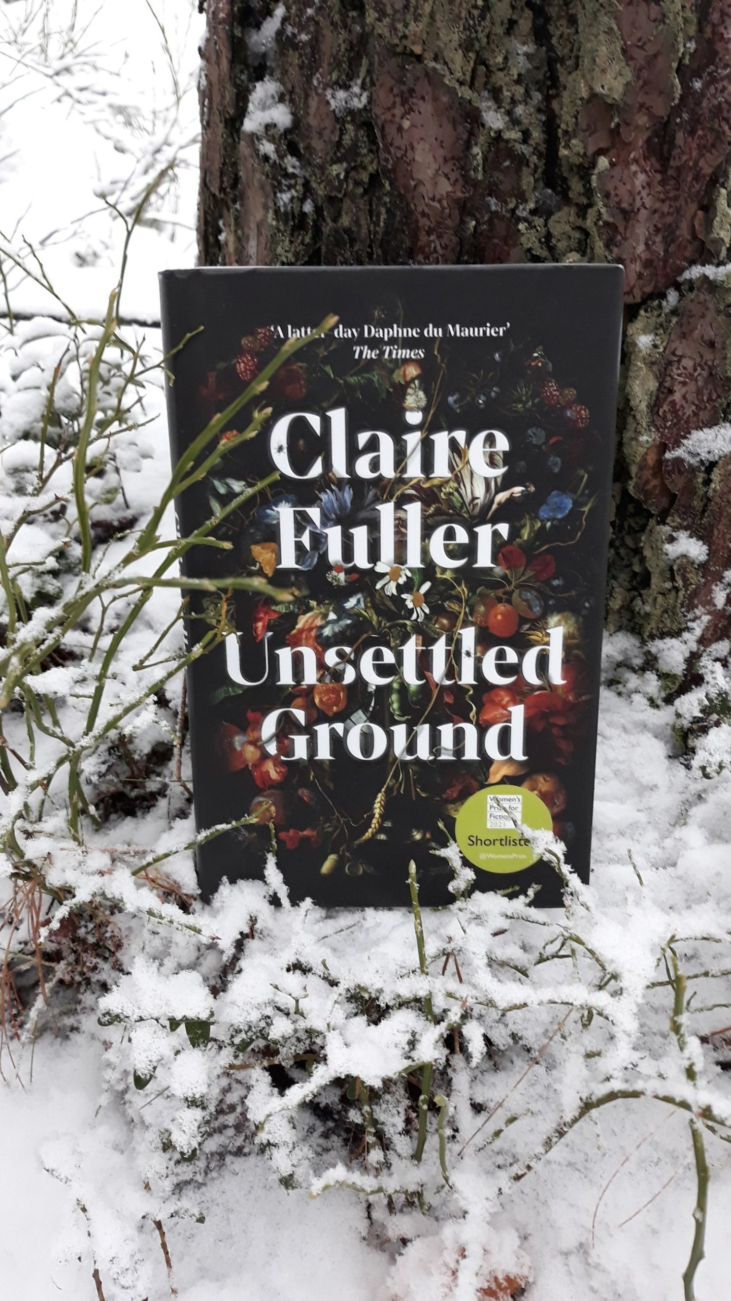 Unsettled Ground