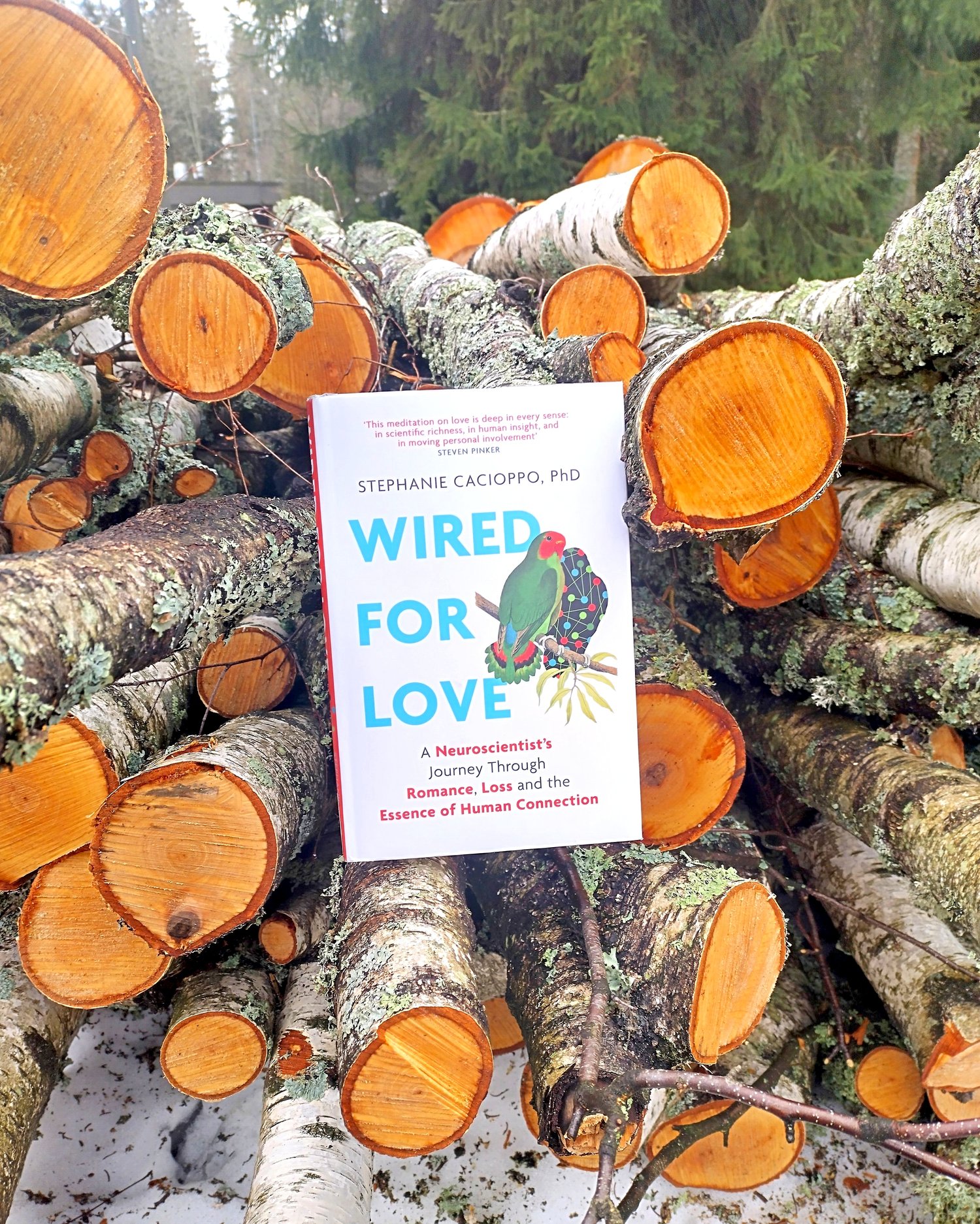 Wired For Love