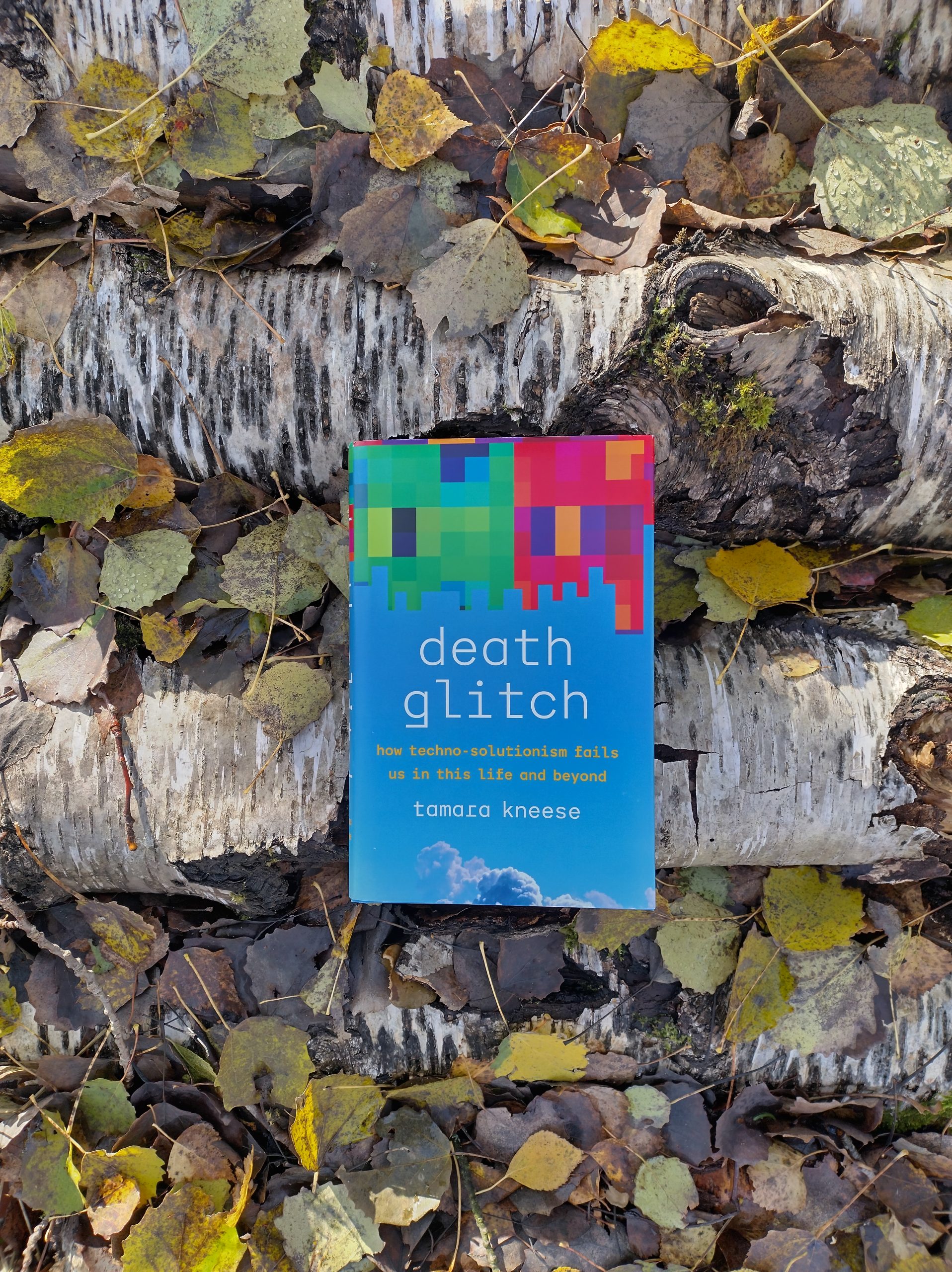 Tamara Kneese's book Death Glitch resting on tree trunks, surrounded by autumn leaves