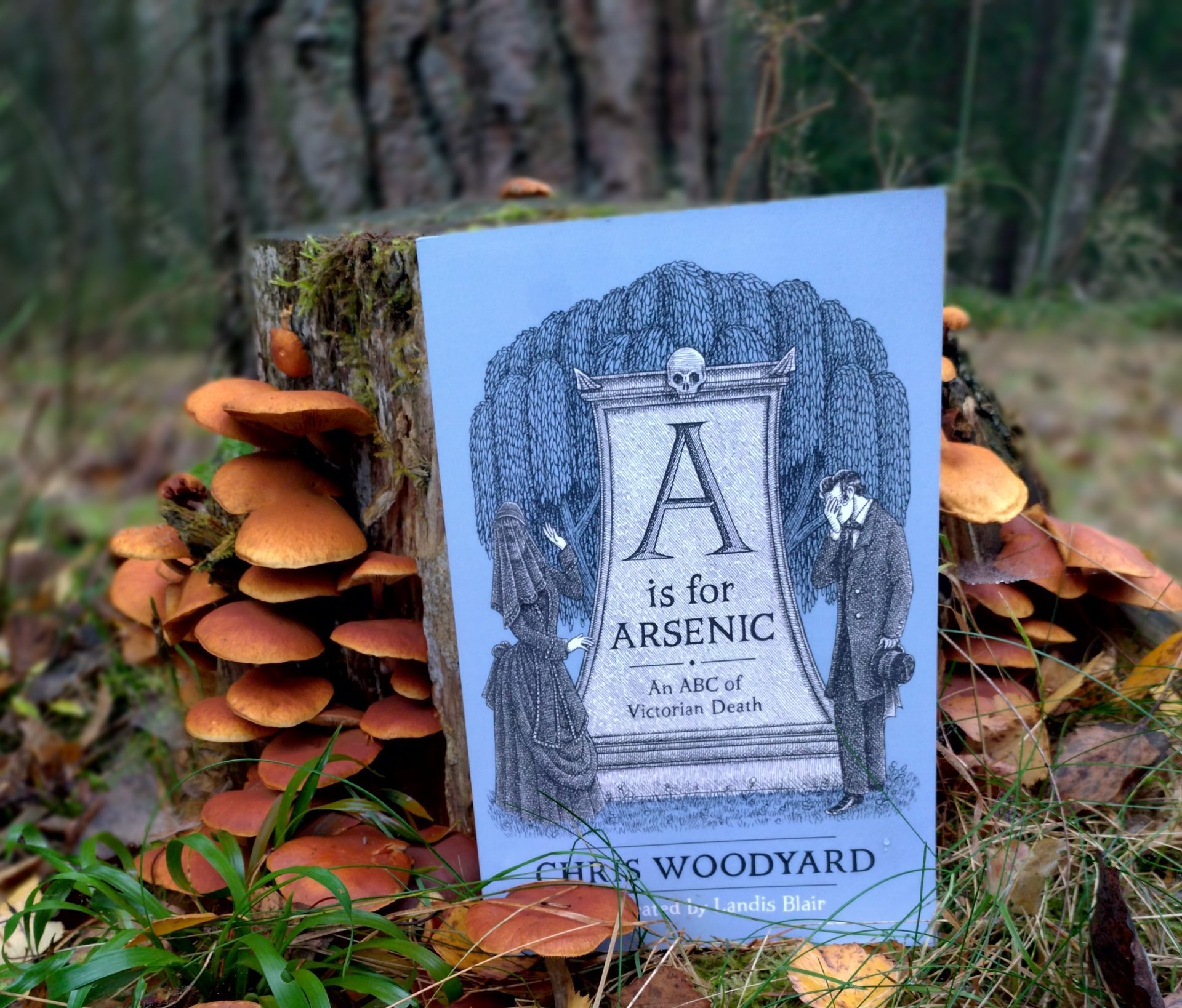 A is for Arsenic resting against a tree stump that is covered in yellow brown mushrooms